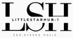 littlestarhub_1